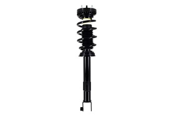 Suspension Strut and Coil Spring Assembly