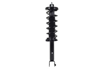 Suspension Strut and Coil Spring Assembly