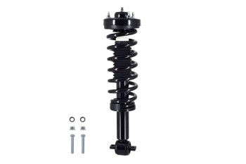 Suspension Strut and Coil Spring Assembly