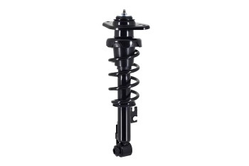 Suspension Strut and Coil Spring Assembly
