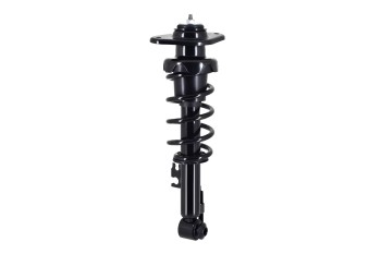 Suspension Strut and Coil Spring Assembly