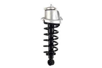 Suspension Strut and Coil Spring Assembly