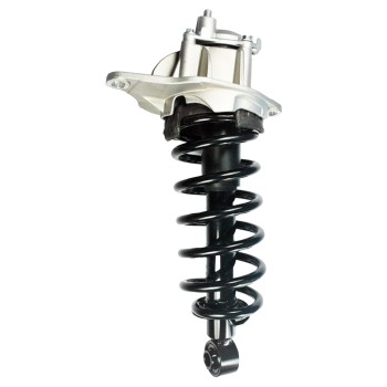 Suspension Strut and Coil Spring Assembly