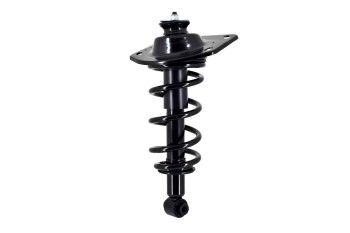 Suspension Strut and Coil Spring Assembly