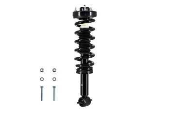 Suspension Strut and Coil Spring Assembly