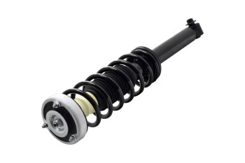 Suspension Strut and Coil Spring Assembly