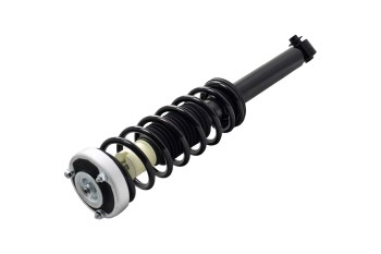 Suspension Strut and Coil Spring Assembly