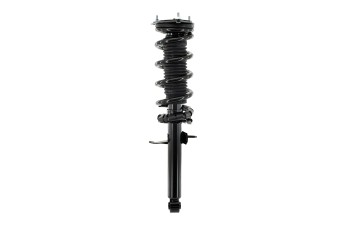 Suspension Strut and Coil Spring Assembly