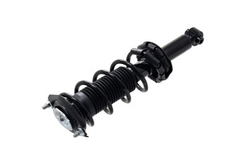 Suspension Strut and Coil Spring Assembly