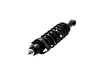 Suspension Strut and Coil Spring Assembly