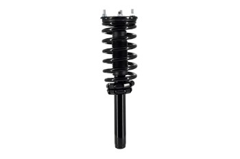 Suspension Strut and Coil Spring Assembly