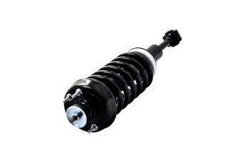 Suspension Strut and Coil Spring Assembly