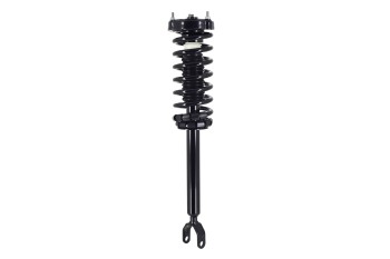 Suspension Strut and Coil Spring Assembly