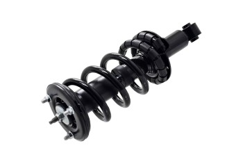 Suspension Strut and Coil Spring Assembly