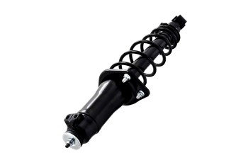 Suspension Strut and Coil Spring Assembly