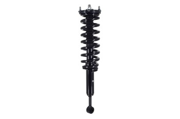 Suspension Strut and Coil Spring Assembly