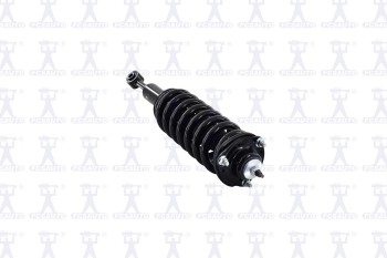 Suspension Strut and Coil Spring Assembly