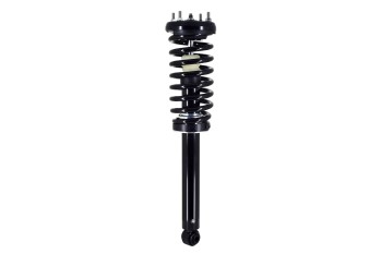 Suspension Strut and Coil Spring Assembly