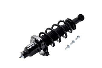 Suspension Strut and Coil Spring Assembly