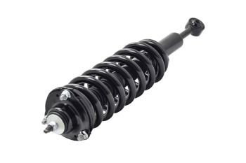 Suspension Strut and Coil Spring Assembly