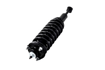 Suspension Strut and Coil Spring Assembly