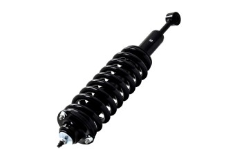 Suspension Strut and Coil Spring Assembly