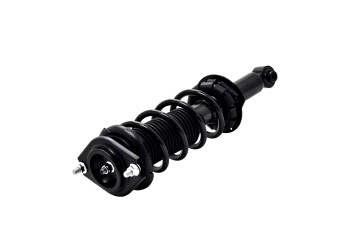 Suspension Strut and Coil Spring Assembly