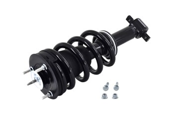 Suspension Strut and Coil Spring Assembly