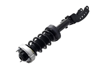 Suspension Strut and Coil Spring Assembly