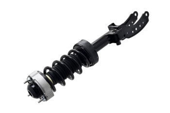 Suspension Strut and Coil Spring Assembly