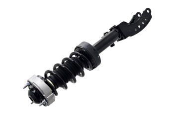 Suspension Strut and Coil Spring Assembly