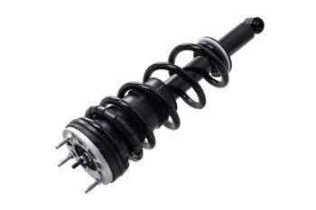 Suspension Strut and Coil Spring Assembly