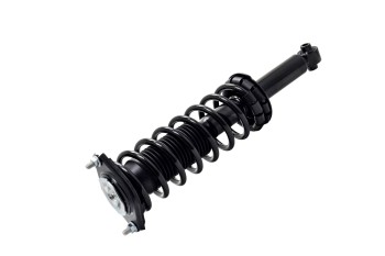 Suspension Strut and Coil Spring Assembly