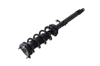 Suspension Strut and Coil Spring Assembly
