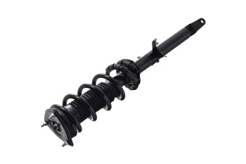Suspension Strut and Coil Spring Assembly
