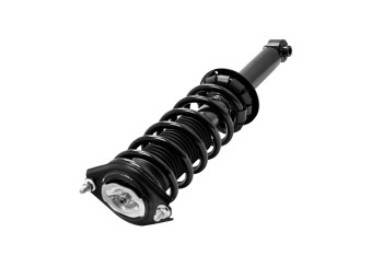 Suspension Strut and Coil Spring Assembly