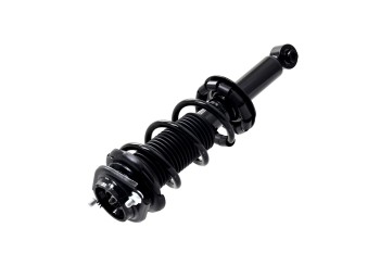 Suspension Strut and Coil Spring Assembly