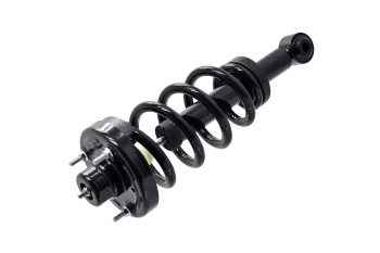 Suspension Strut and Coil Spring Assembly