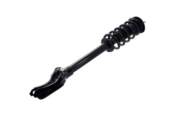 Suspension Strut and Coil Spring Assembly