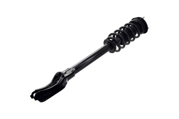 Suspension Strut and Coil Spring Assembly