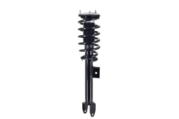 Suspension Strut and Coil Spring Assembly