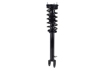 Suspension Strut and Coil Spring Assembly