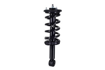 Suspension Strut and Coil Spring Assembly