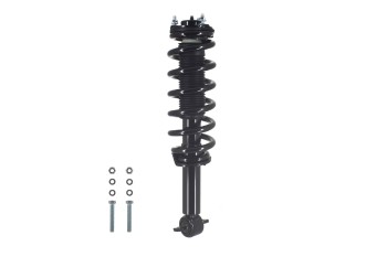 Suspension Strut and Coil Spring Assembly