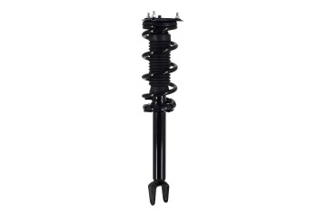 Suspension Strut and Coil Spring Assembly