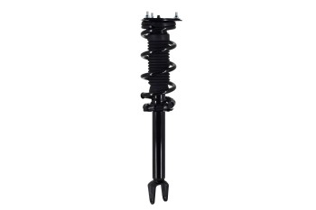 Suspension Strut and Coil Spring Assembly