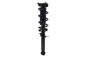 Suspension Strut and Coil Spring Assembly