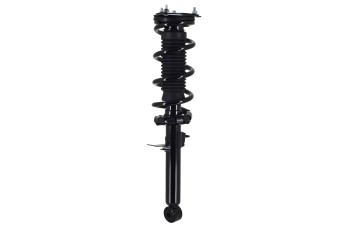 Suspension Strut and Coil Spring Assembly