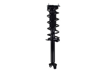 Suspension Strut and Coil Spring Assembly
