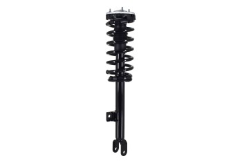 Suspension Strut and Coil Spring Assembly